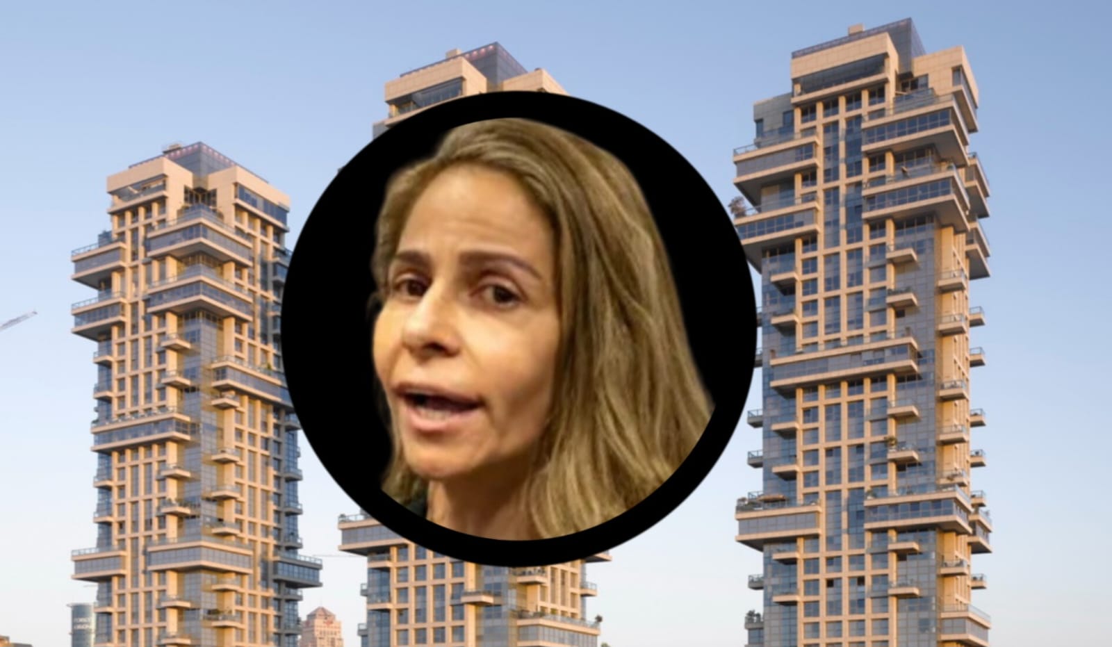 ענבל אור הורשעה בעבירות כלפי לקוחות, בנקים ומס, ושימשה בכספי החברה לרכישות פרטיות. צילום: מסך רשתות חברתיות