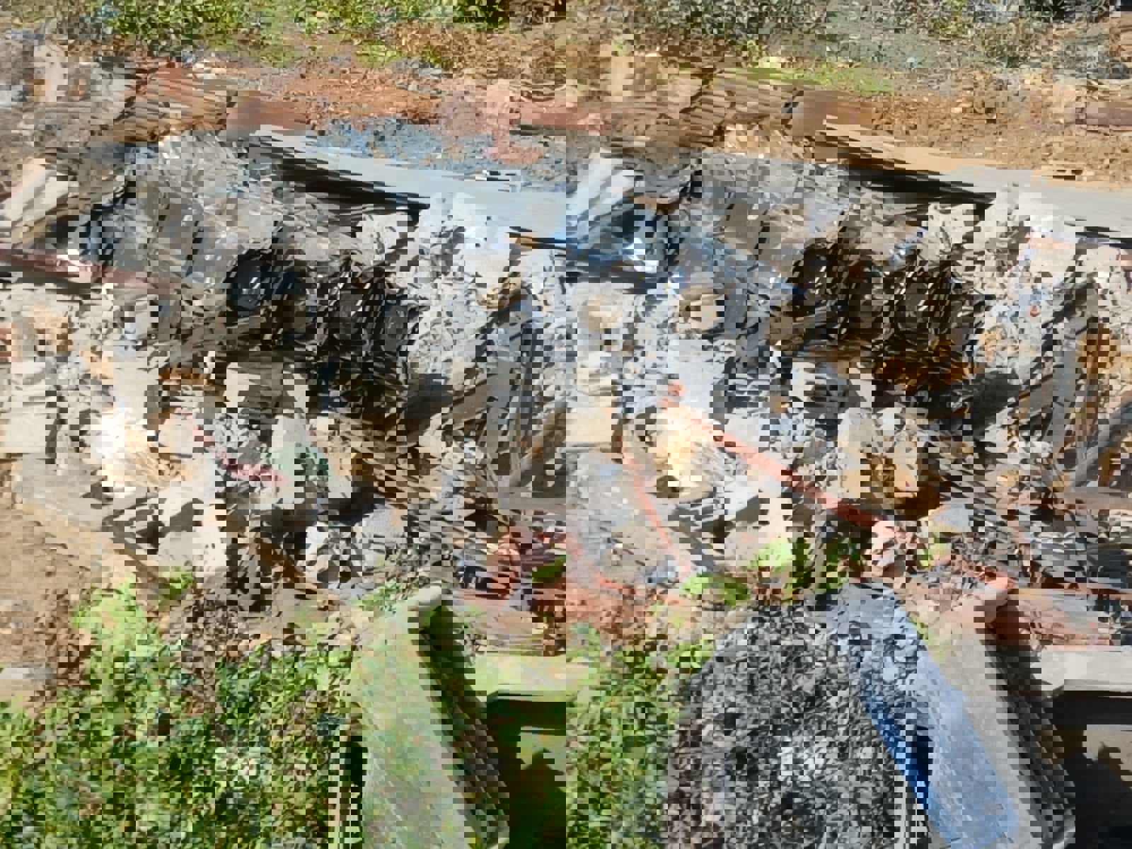 צילום: דובר צה"ל