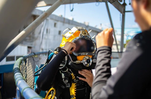 צילום: דובר צה"ל