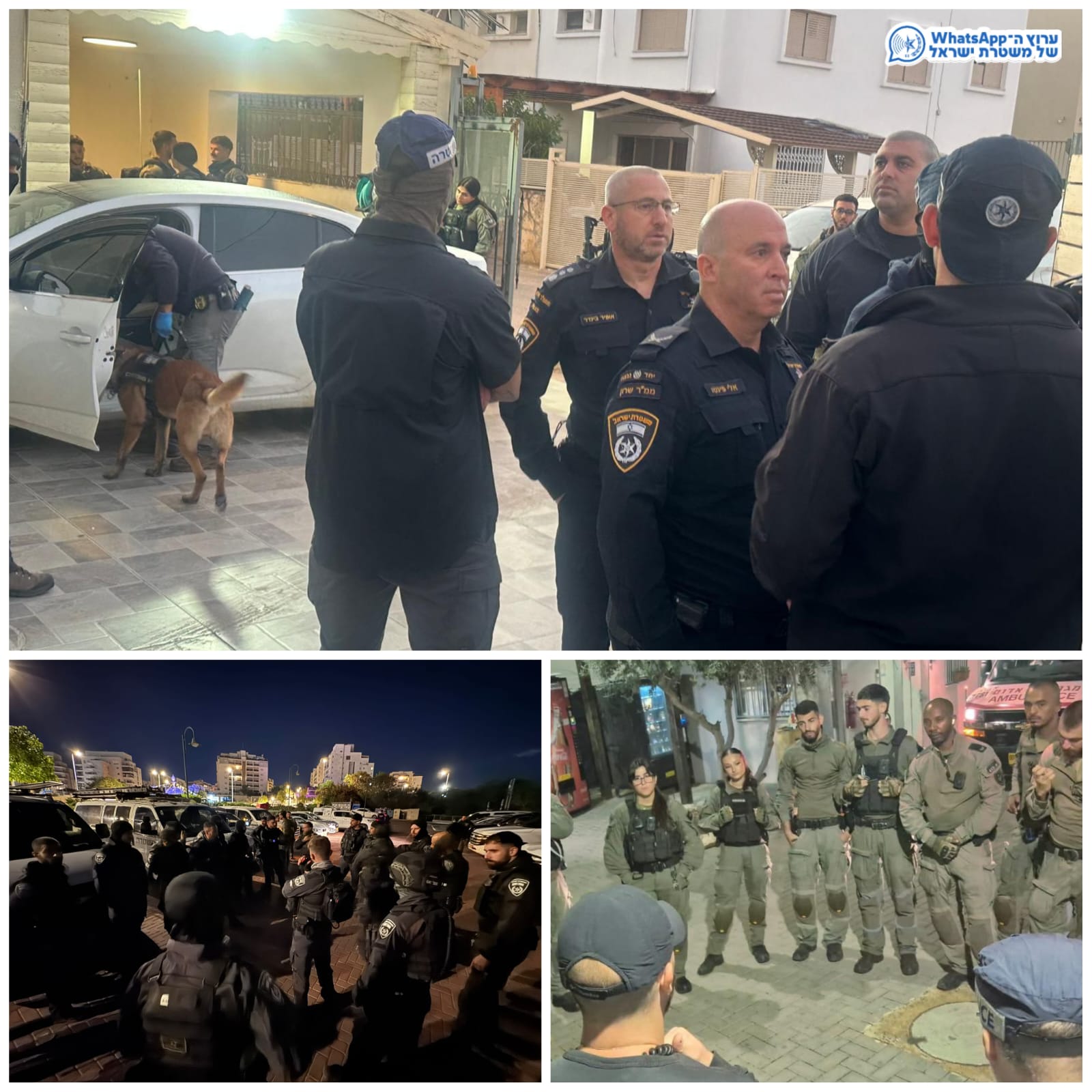 צילום: דוברות המשטרה