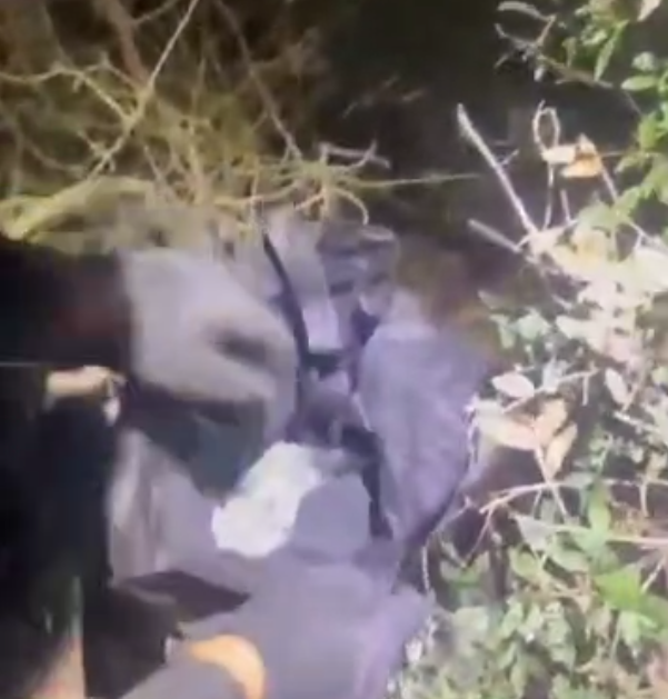 צילום: דוברות המשטרה