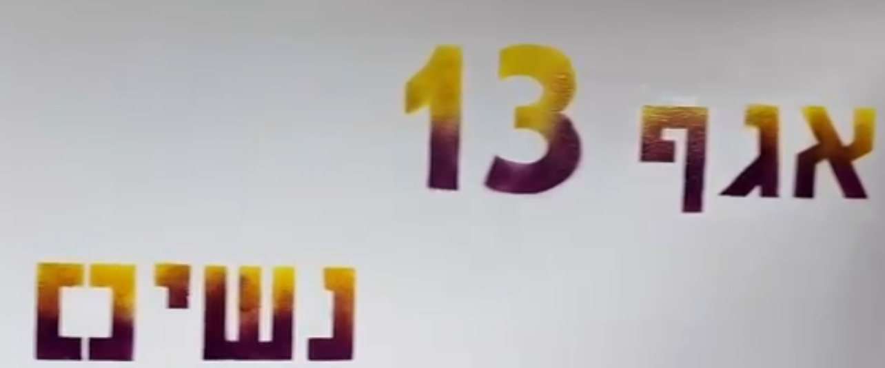 צילום: דוברות שירות בתי הסוהר