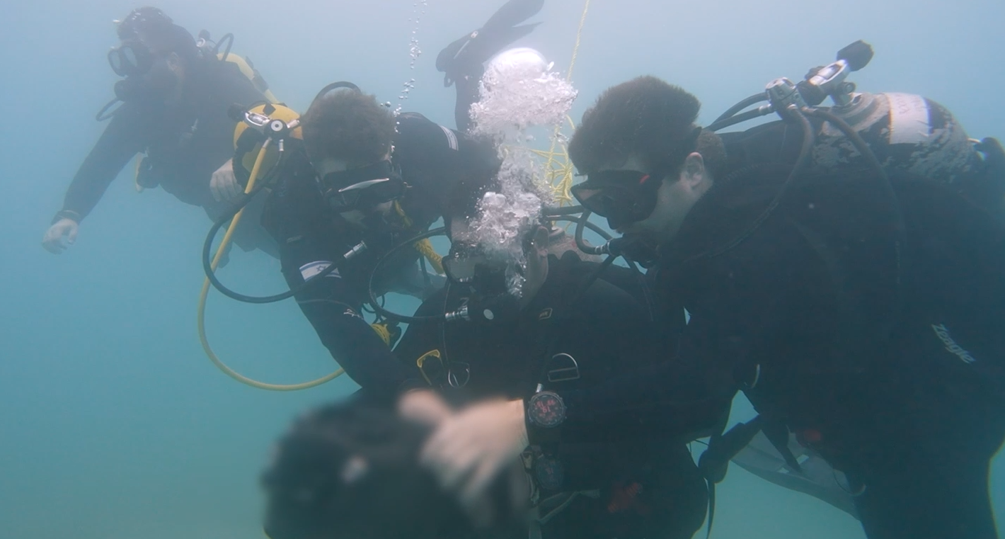 צילום: דובר צה"ל