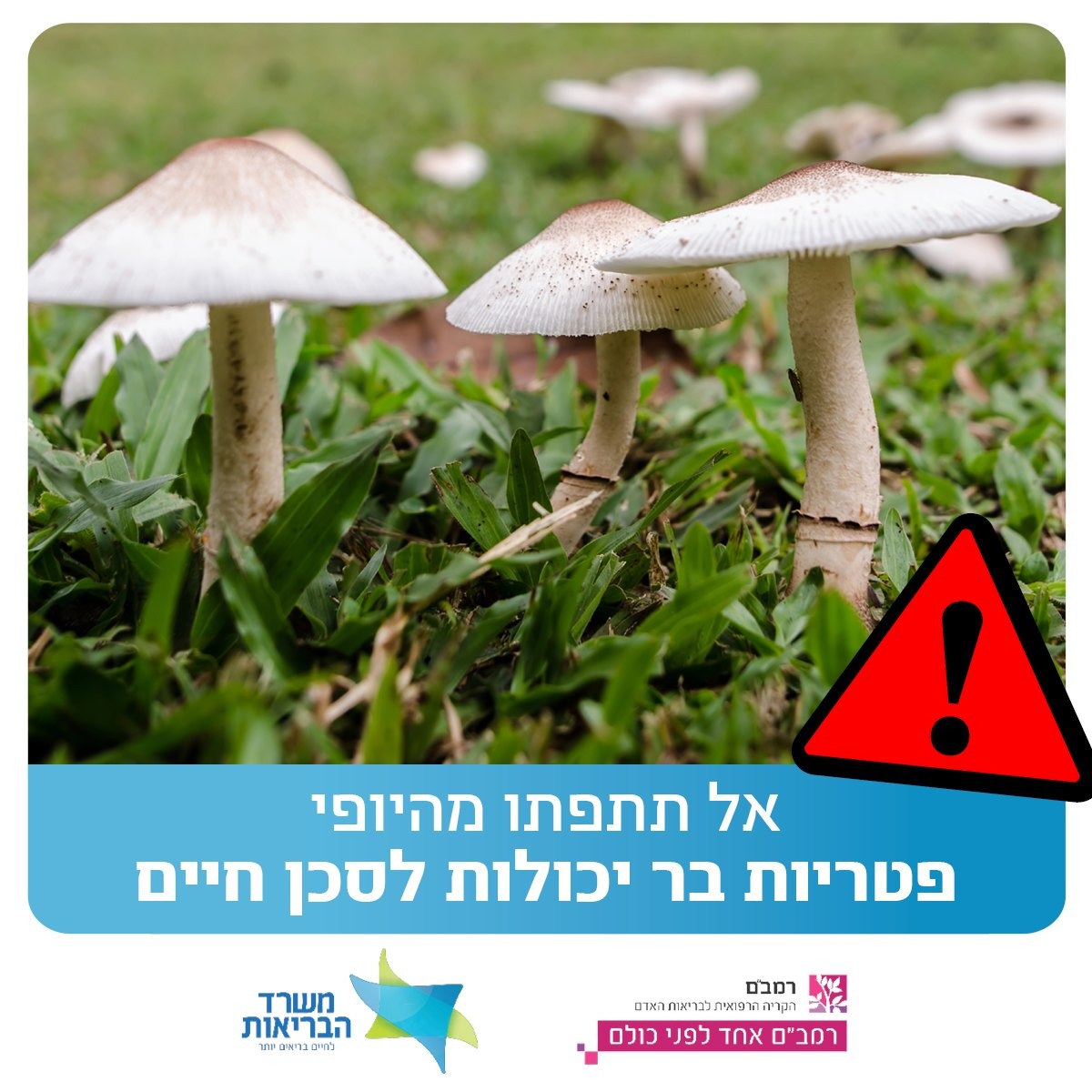 מערכת "אחלה ניוז" עם הדיווח הבא דברות: מערך ההסברה הלאומי