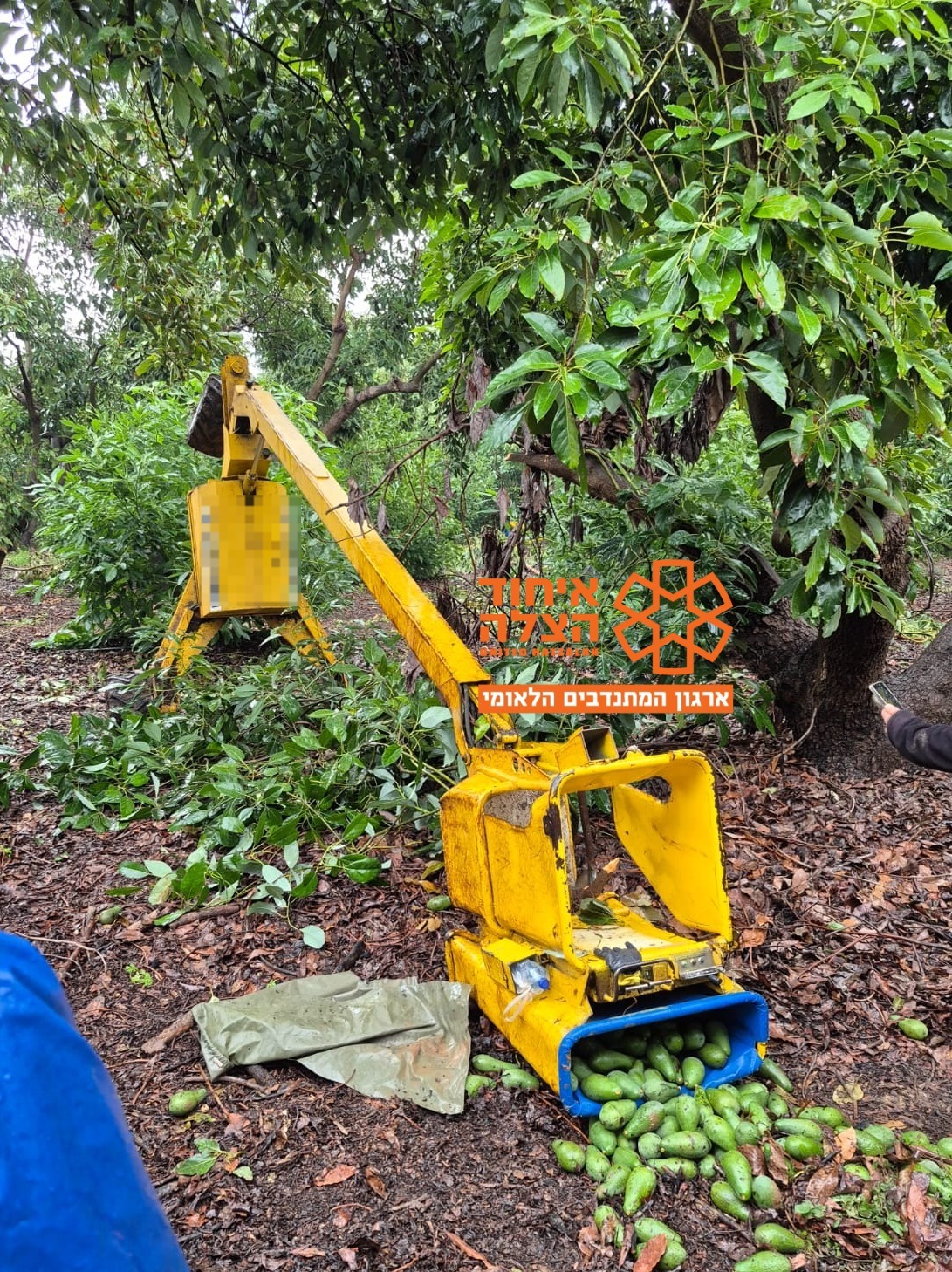 מערכת "אחלה ניוז" עם הדיווח הבא צילום: דוברות איחוד הצלה