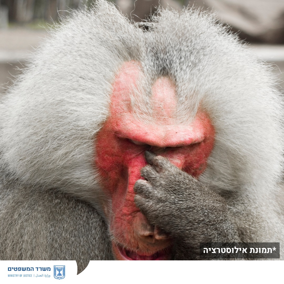 מערכת "אחלה ניוז" עם הדיווח הבא צילום: דוברות משרד המשפטים