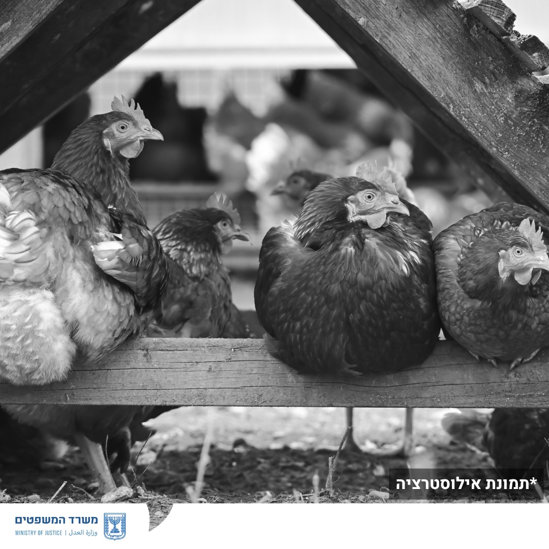 מערכת "אחלה ניוז" עם הדיווח הבא צילום: דוברות משרד המשפטים
