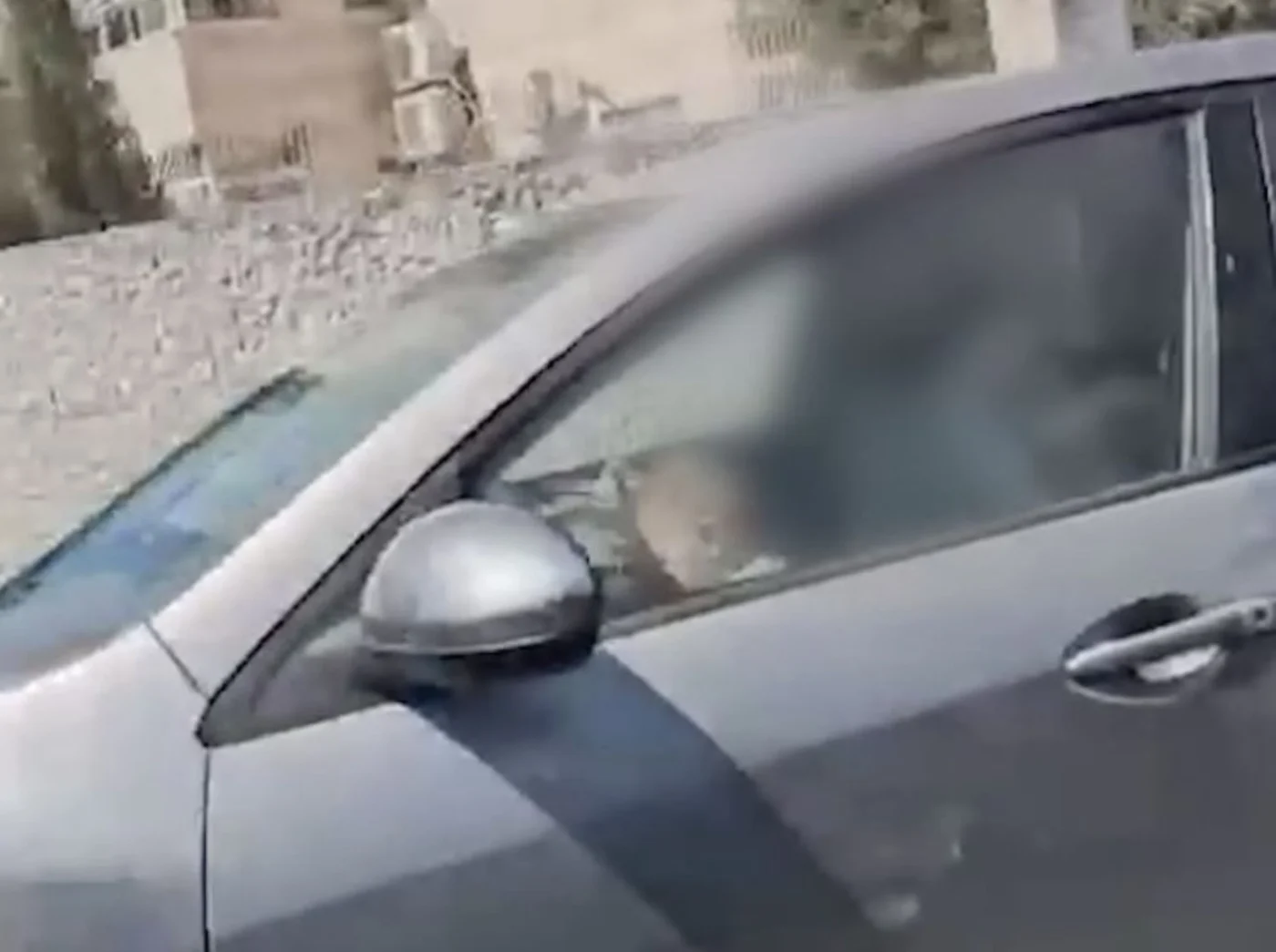  מערכת "אחלה ניוז" עם הדיווח הבא צילום: דוברות משטרת ישראל
