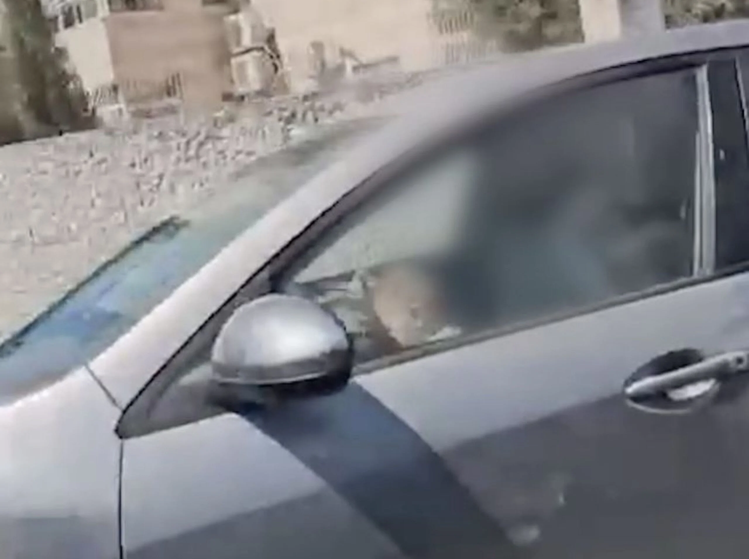 מערכת "אחלה ניוז" עם הדיווח הבא צילום: דוברות משטרת ישראל