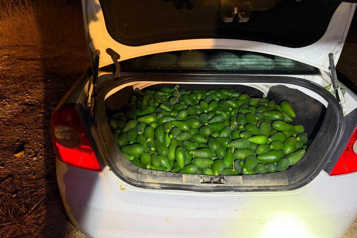  מערכת "אחלה ניוז"  צילום: דוברות משטרת ישראל