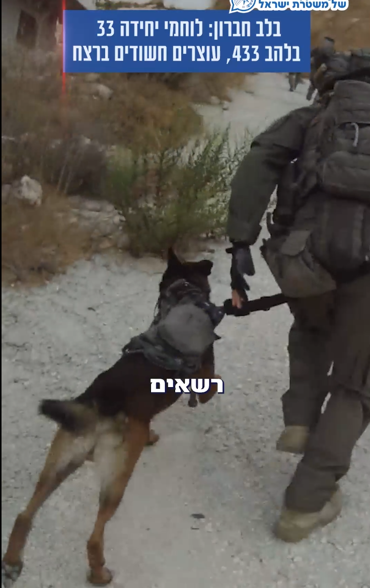 מערכת "אחלה ניוז" צילום: דוברות משטרת ישראל