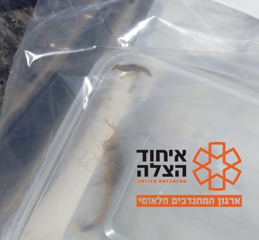 "אחלה ניוז" צילום תמונה : תיעוד מבצעי איחוד הצלה